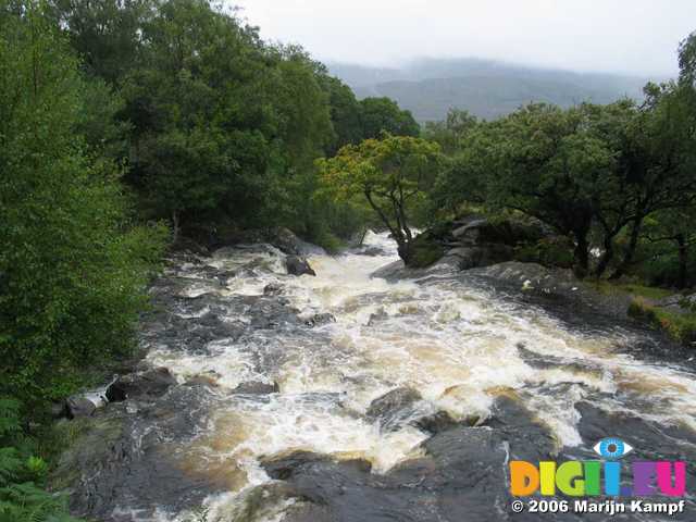 19646 Swollen river